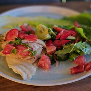 Gulskädda på salladsbädd med salsa på tomat och koriander