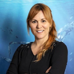 Linnea hemsida MSC Baltics & BSR