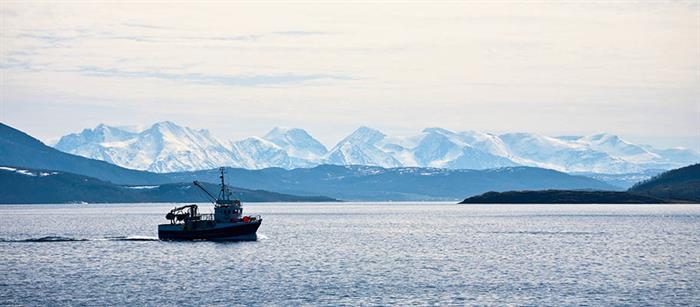 boat-in-the-middle-of-the-sea