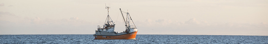 Cornish hake boat