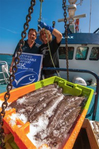 Cornish hake being landed on Ajax PZ36 with Paul Trebilcock, CFPO Chief Executive and Ajax skipper, Alan Dwan with MSC ecolabel