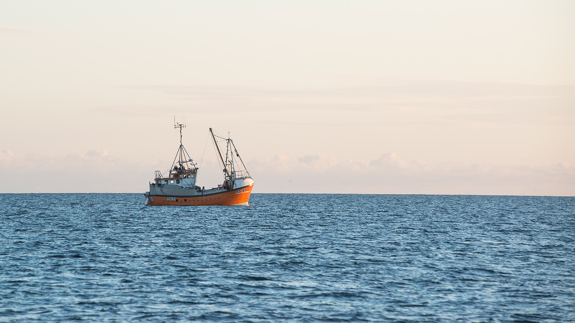 UK & Irish Fisheries | Marine Stewardship Council - Vimarsana News