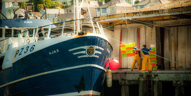 The sustainable fish that’s transforming the British seafood business