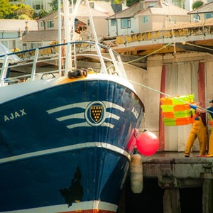 The sustainable fish that’s transforming the British seafood business