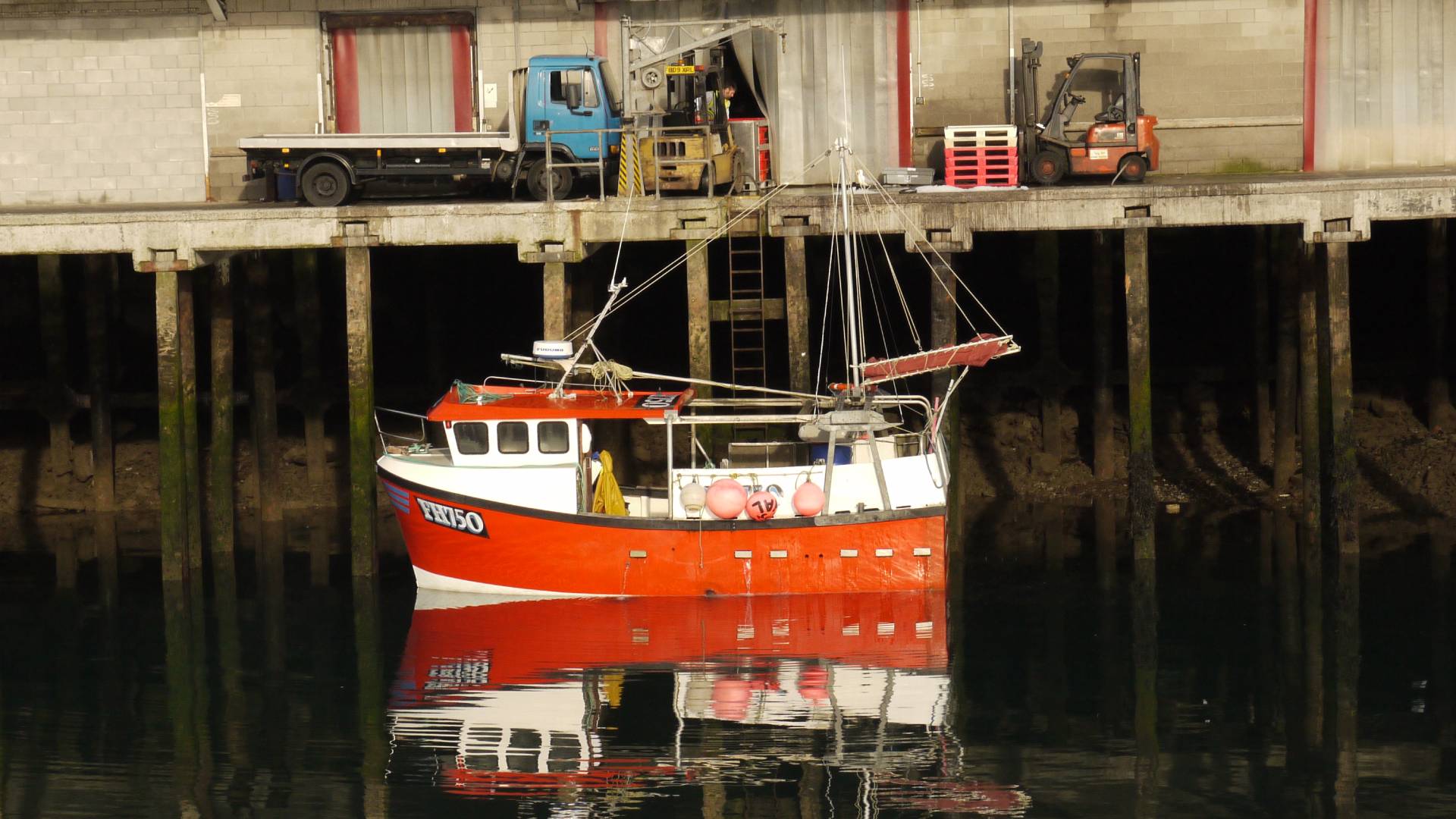 An environmentally sustainable future for English fisheries