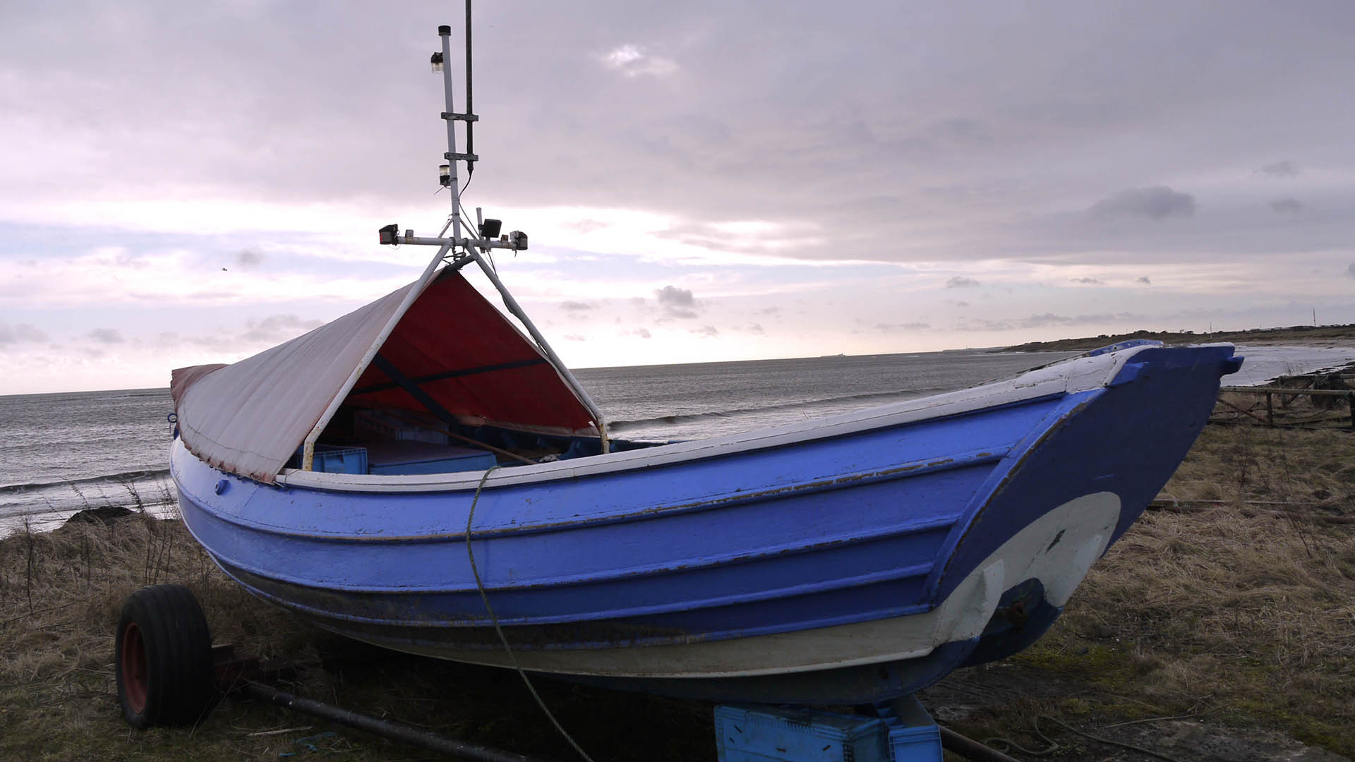Inshore fishing boat models in demand