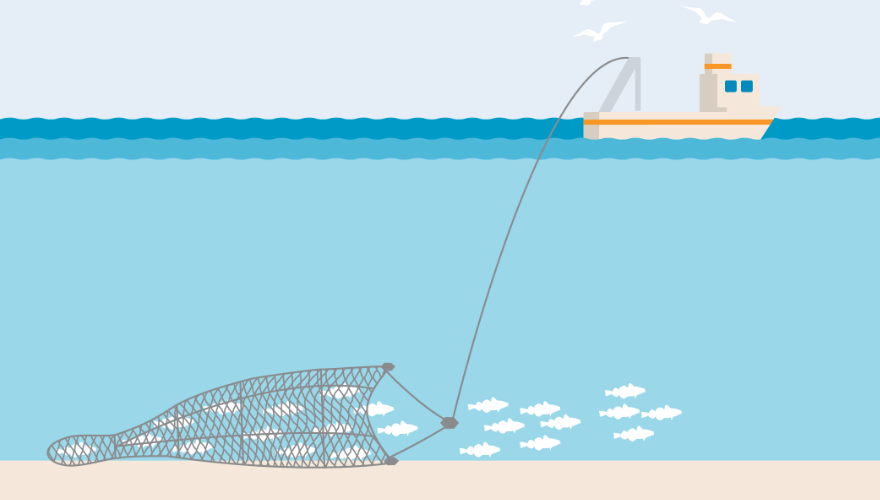 bottom-trawl