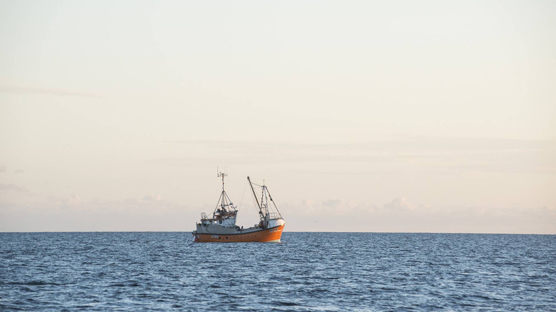 Brexit and the three MSC 'Ps'