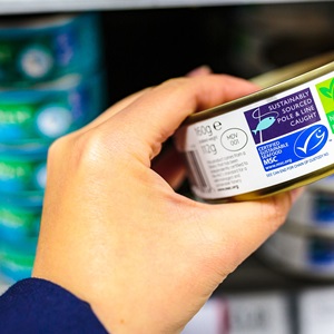 What does the blue MSC ecolabel mean?