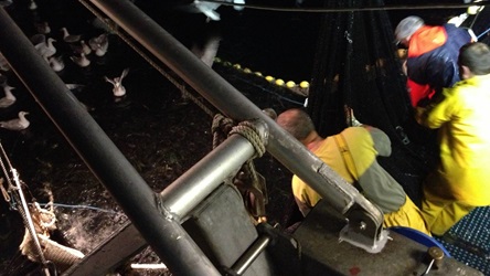 On board White Heather On board White Heather