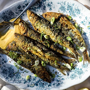 MSC Cornish Sardine Katsu