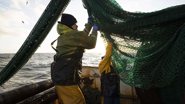 MSC Improvement Program