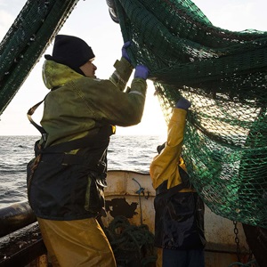 The MSC Improvement Program in the UK