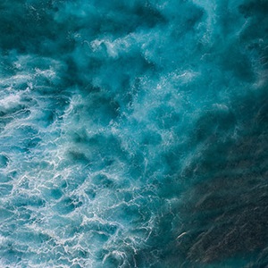 Oceans at risk