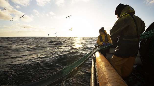 Fishing for solutions - The Climate Catastrophe: The Time for Action is Now