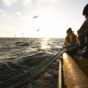 A Escócia sustentável: Pesca à prova de futuro