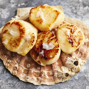 Pan seared Shetland scallops with flaky sea salt