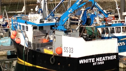 White Heather White Heather