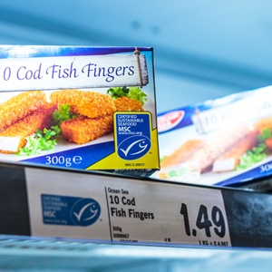 How to enjoy affordable, sustainable seafood