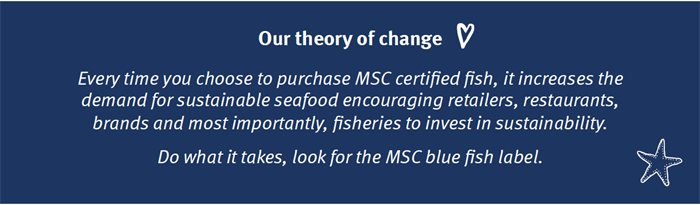 MSC theory of change