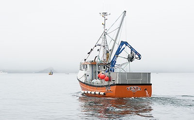 What is overfishing?