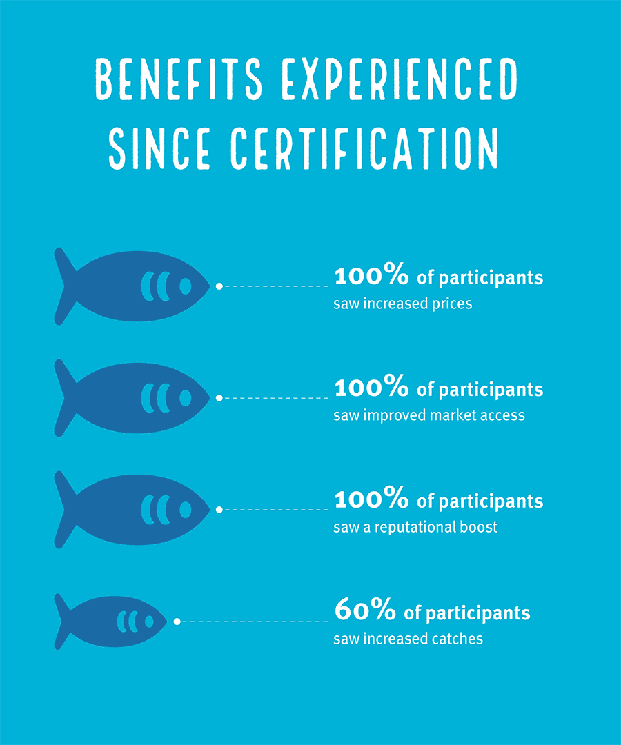 Graph showing the hake benefits from MSC certification
