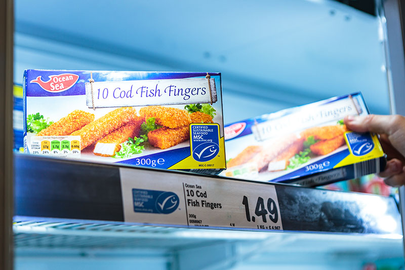 fish-fingers-banner