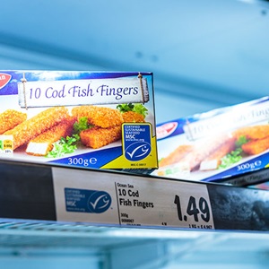 How to enjoy affordable, sustainable seafood