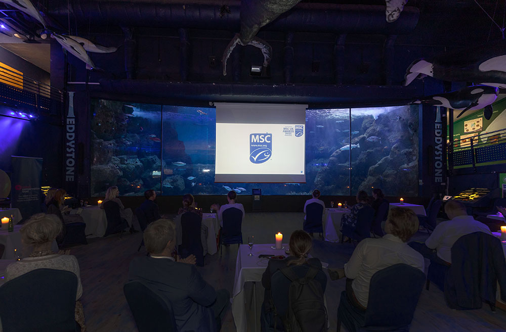 MSC UK Awards 2021 viewing night