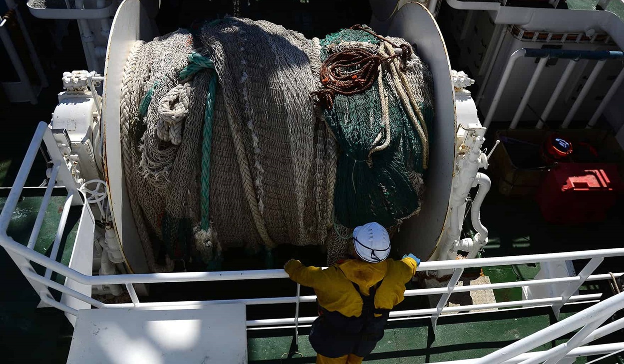 Herring fishermen winching in net