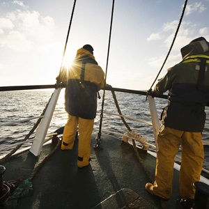 Learn more about the fishery