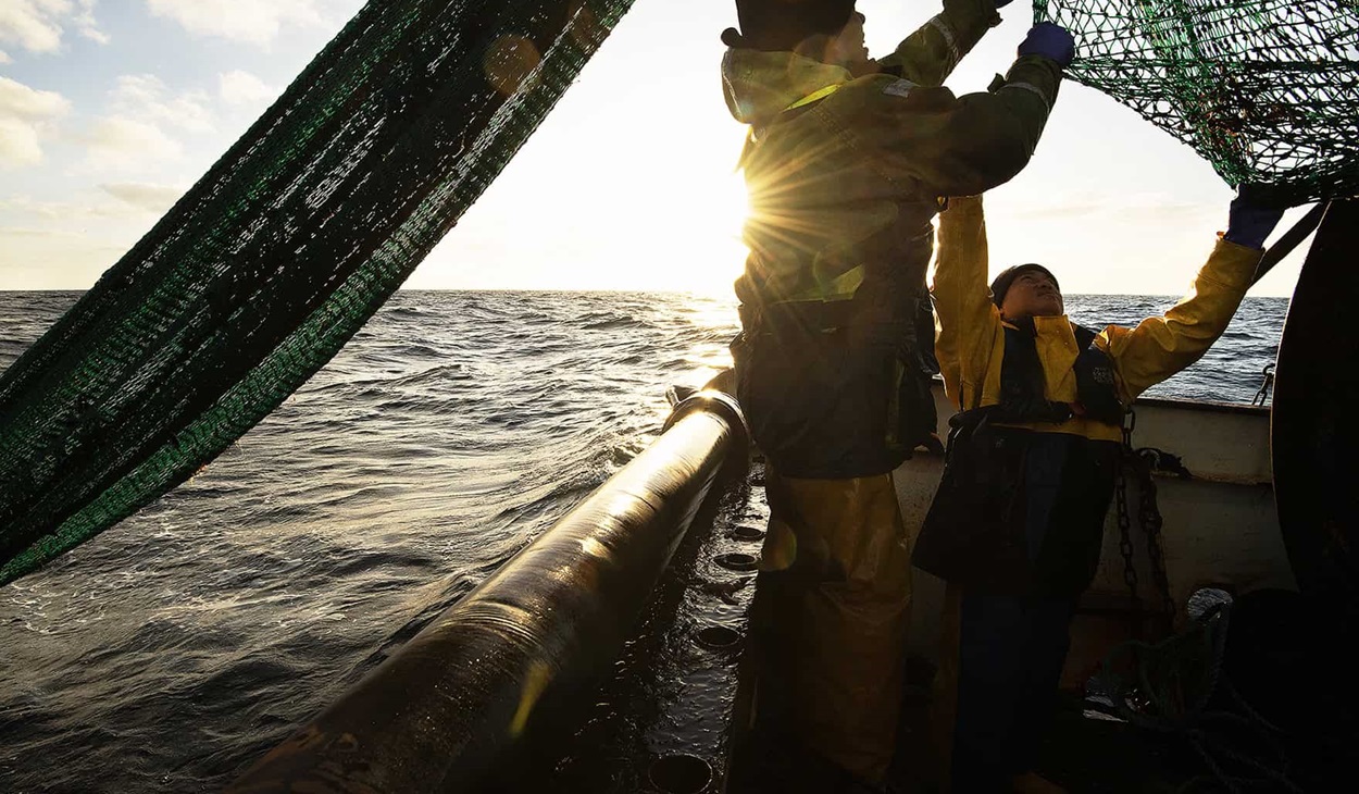 Haddock fishermen pulling in net