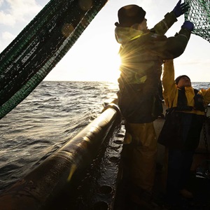 The MSC Improvement Program