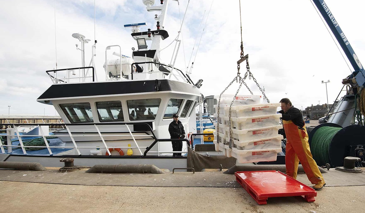Scottish Haddock unloading