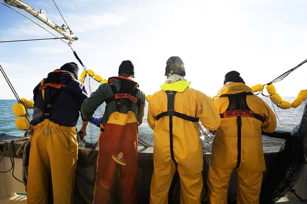 The back of four sardine fishermen pulling in a net