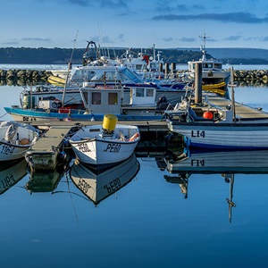 Learn more about the Southern IFCA