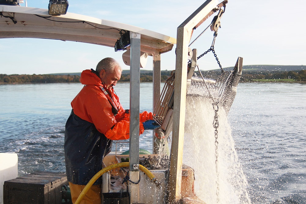 Poole Harbour fishing