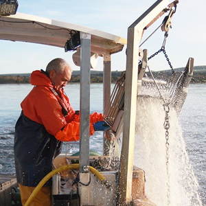 Learn more about sustainable fishing