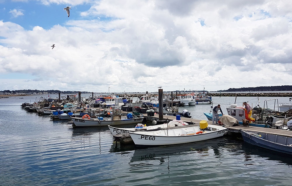 Poole Harbour unloading