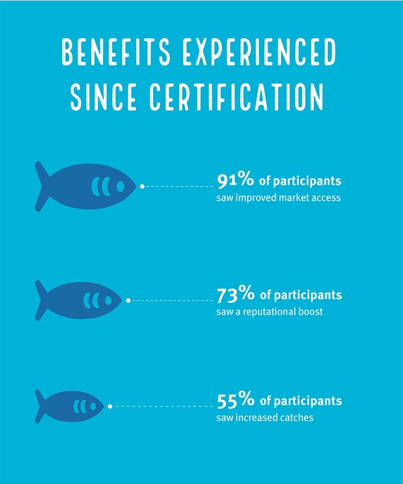 Graph showing the MSC benefits for sardines