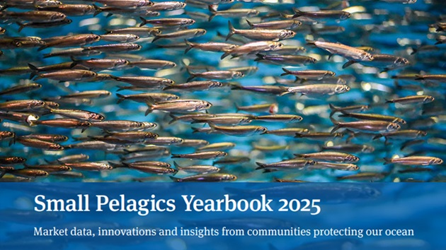 Small Pelagics Yearbook and UK & Ireland analysis