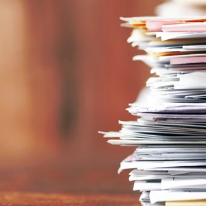 Fisheries programme documents