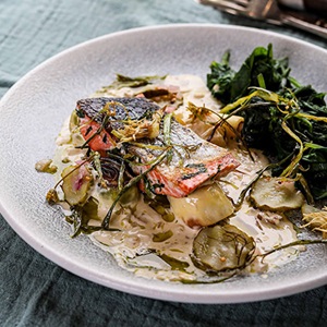 Salmon with leek oil and pickled cucumbers