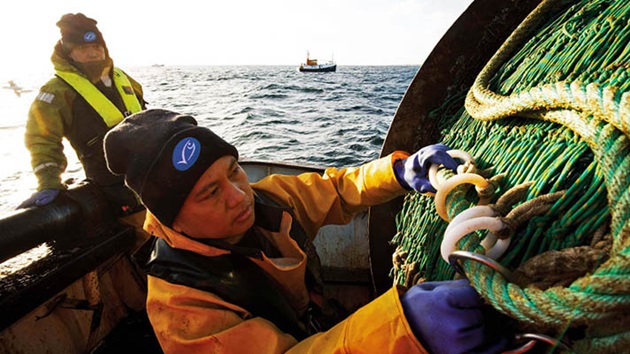 How MSC Certified fisheries are improving