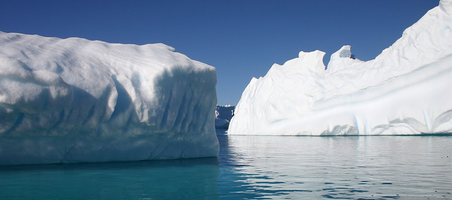 Will there be a new ‘Gold rush’ on krill?