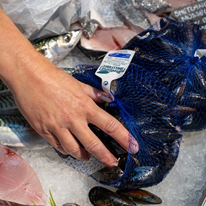 What sustainable seafood species can you eat in the UK?