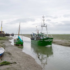 The MSC Fisheries Standard