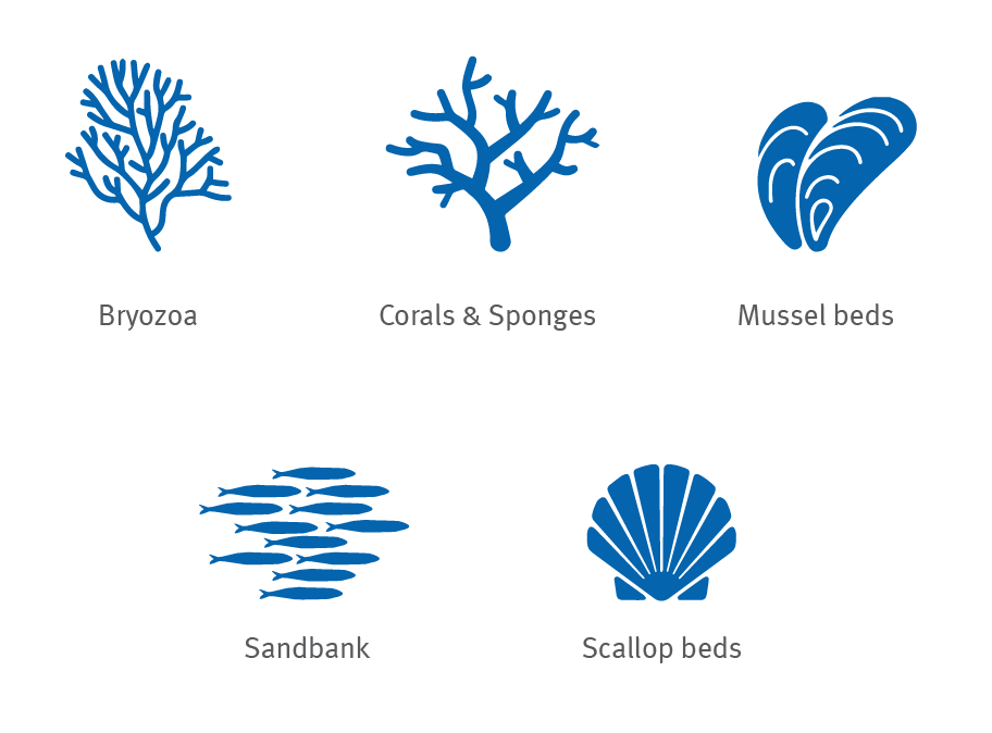 marine-habitats-icons