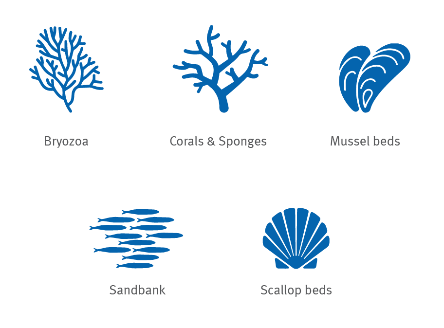 marine-habitats-icons