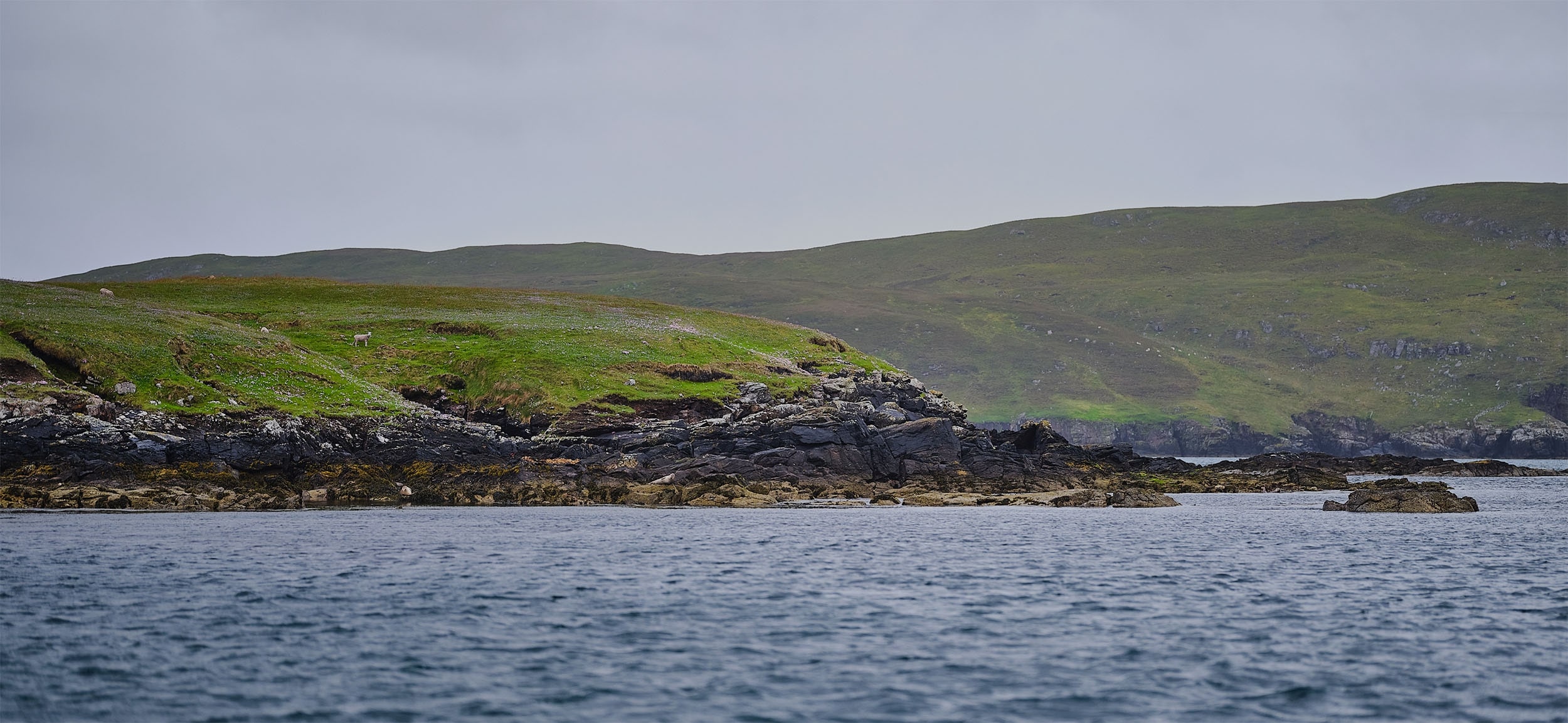 Sustainability at the heart of Shetland’s Scallop fishing Community ...